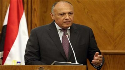 سامح شكري يلتقي أعضاء وزارة الخارجية من الشباب والدرجات الوسطى