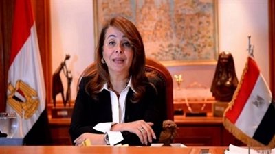 معاون وزيرة التضامن للرعاية الاجتماعية: الزيادة السكانية خطر على التنمية