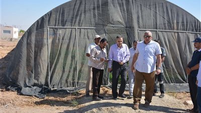 صور.. محافظ الوادي الجديد يوجه بتوزيع صوبة زراعية لكل 5 شباب