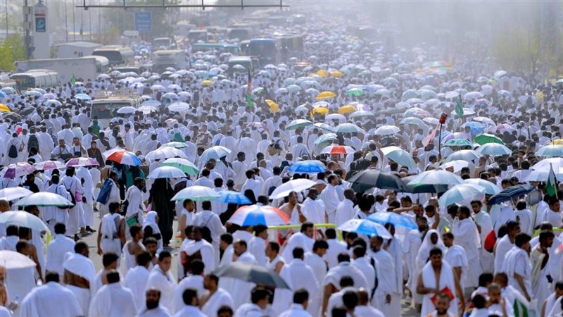 الحجاج