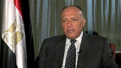 وزير الخارجية يلتقي نظيره الإيطالي بـ القاهرة لمناقشة العديد من القضايا
