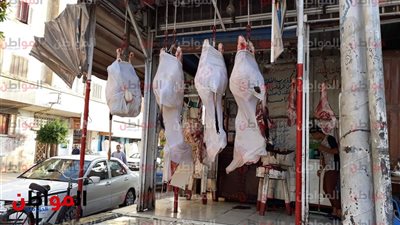 فيديو وصور.. جزار بـ كفر الشيخ: أسعار الأضاحي زي السنة اللي فاتت
