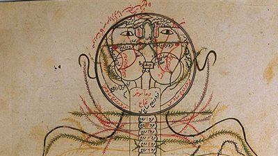 الصيدلة عند المسلمين .. العطارة التي خدمت العالم
