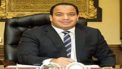 الاقتصادى عبدالمنعم السيد لـ