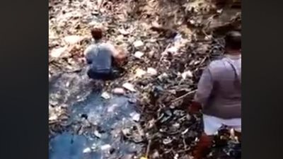 فيديو.. التلوث يضرب قرى كفر شكر بسبب ترعة 