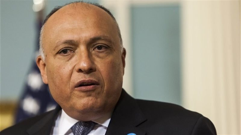 سامح شكرى وزير الخارجية
