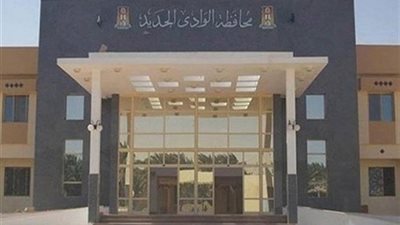 بـ2 مليون جنيه.. حمام سباحة وحديقة لسكان الأمل بـ الخارجة في الوادي الجديد