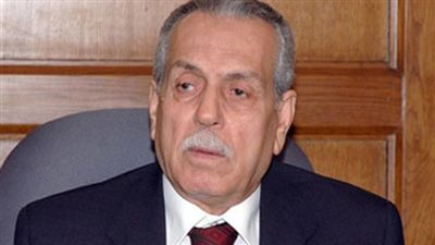 رئيس الدستورية العليا: حكمنا فى قضايا كثيرة ضد الحكومة