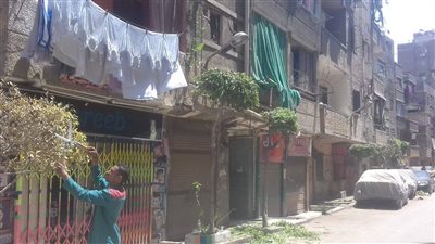 صور.. رئيس حي الزاوية الحمراء يوجه بتقليم الأشجار في الشوارع