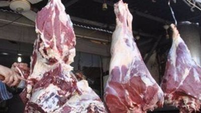 بيطري الوادي الجديد: ذبح 673 رأس ماشية بـ المجازر