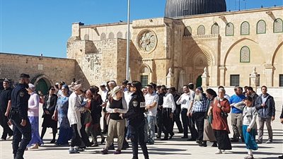 عشرات المستوطنين الإسرائيليين يقتحمون باحات الأقصى وسط حماية جيش الاحتلال