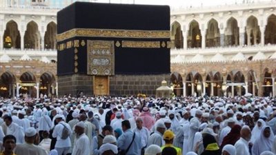 عمرو قنديل: اتخذنا الإجراءات الوقائية لمواجهة الأمراض المنتشرة بين الحجاج