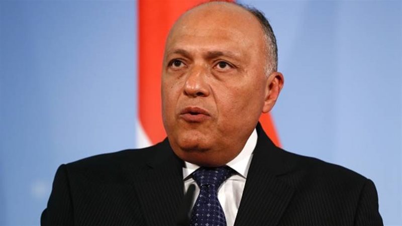 وزير الخارجية سامح