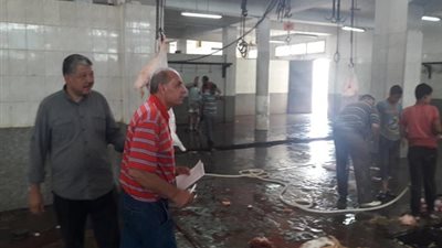 صور.. حملات مكثفة على  المجازر البحيرة استعدادًا لعيد الأضحى 2018
