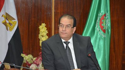 محافظ الدقهلية: إعدام 2 طن أغذية وعصائر متنوعة فاسدة