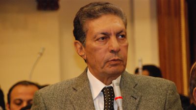 الشئون العربية بـ البرلمان تشيد بـ زيارة محمد بن زايد 