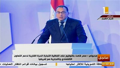 اجتماعات مجلس البنوك الإفريقية.. رئيس الوزراء: نحرص على ترسيخ العلاقات بين مصر ودول القارة