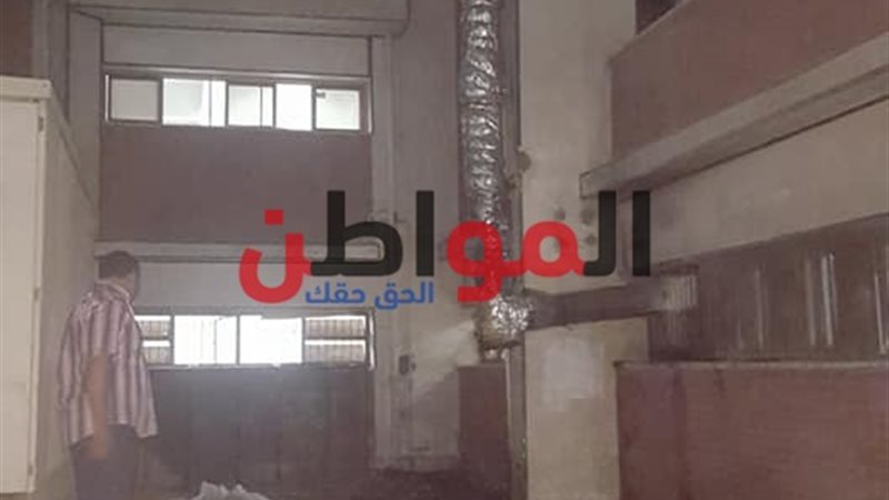 المواطن