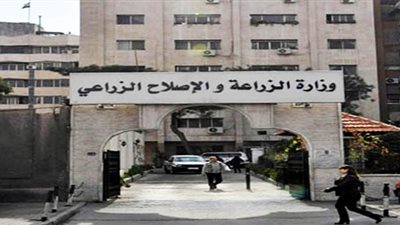الزراعة توافق على إستيراد سلالات مميزة من الأغنام والماعز