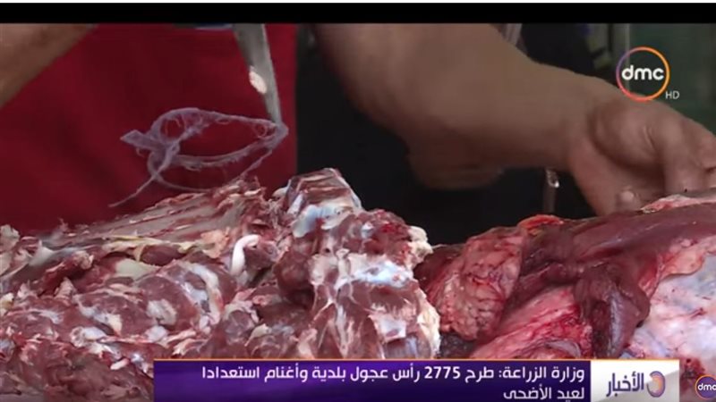 استعدادات عيد الأضحى