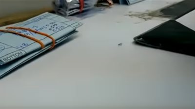 فيديو.. نملة تسرق ماسة وتحاول الهروب بها بطريقة ذكية