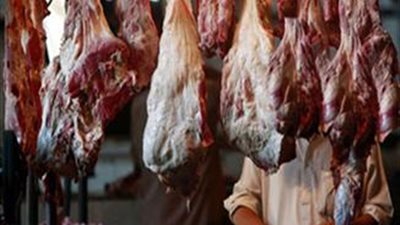 ضبط  ربع طن من اللحوم المذبوحة خارج المجازر الحكومية في الإسماعيلية