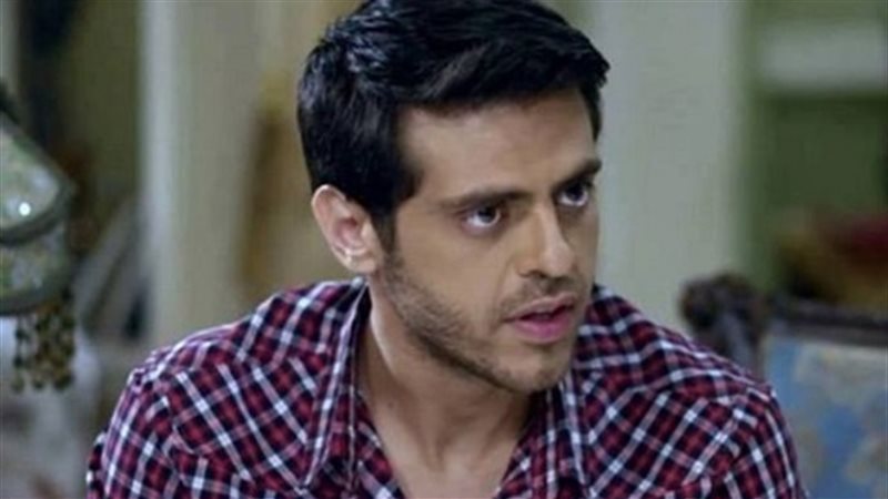 الفنان طارق صبري