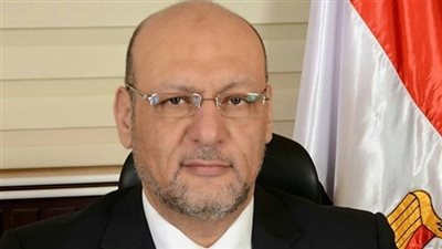 مصر الثورة يشيد بمبادرة العاهل السعودي مع أسر الشهداء المصريين