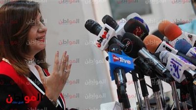 فيديو.. وزيرة الهجرة: نعمل على تجميع بيانات المصريين العاملين بالخارج