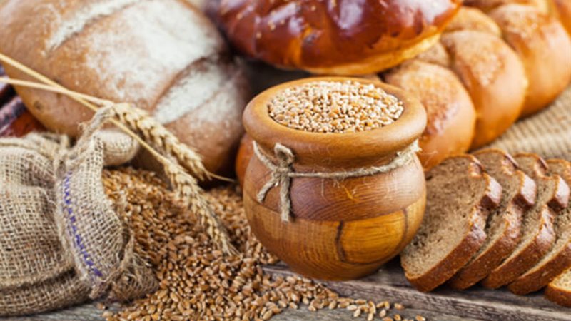 القمح في عيد الأضحى