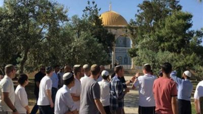 شاهد .. إسرائيل تمارس انتهاكاتها ضد نساء فلسطين في قلب المسجد الأقصى