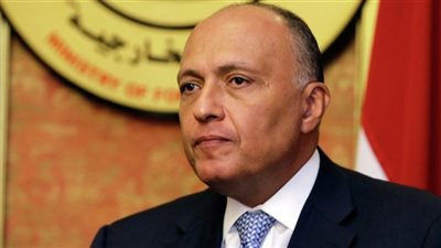 سامح شكري يلتقي الأمين العام لمنظمة التعاون الإسلامي