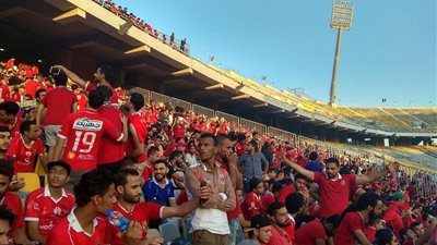 المتحدث باسم مجلس الوزراء يكشف خطوات عودة الجماهير للملاعب