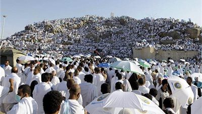 وزارة الصحة: العيادات الطبية استقبلت 36733 حالة مرضية بالأراضى المقدسة