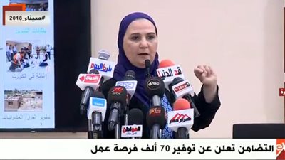 فيديو.. نائب وزيرة التضامن:  توفير فرص عمل  وتطوير المهارات من خلال برنامج  