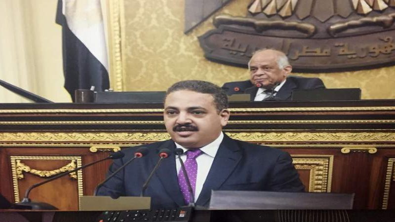 النائب منتصر رياض