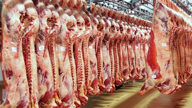 استعدادات وزارة التموين