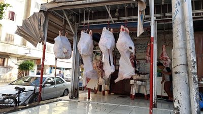 19 مجزر لذبح الأضاحي بالمجان طوال أيام عيد الأضحى 2018 بـ كفر الشيخ