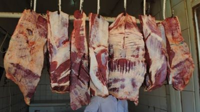 حينما يتحول  القرش إلى جنيه.. تعرف على رحلة لحوم الأضاحي من 130 قرش لـ 130 جنيه