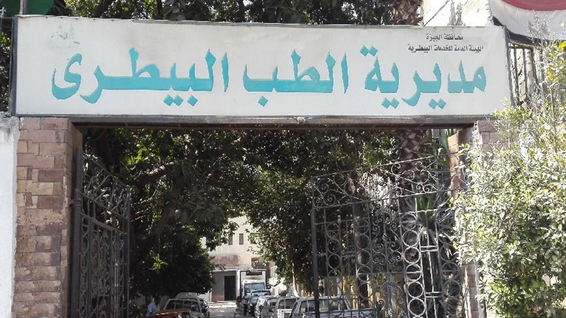مديرية الطب البيطري