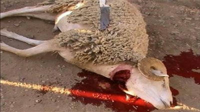 فيديو.. إمام بـ الأوقاف لـ