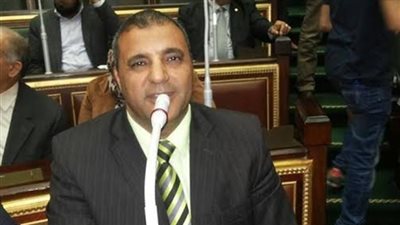 فيديو.. برلماني: الأب يجب أن يكون في المرتبة الثانية لحضانة الطفل بعد الأم