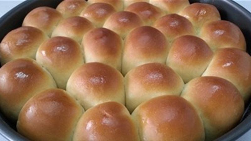 خلية النحل بالجبن