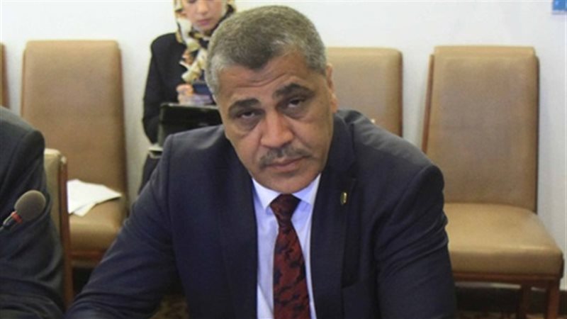 النائب عصام الفقى