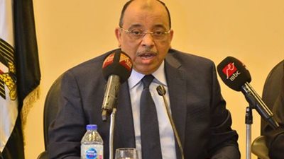 وزير التنمية المحلية: إنتخابات المحليات بداية عام 2019  