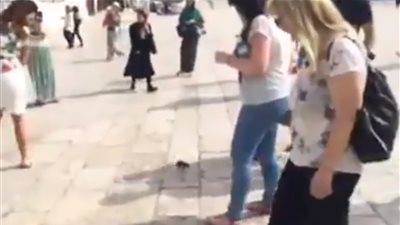 فيديو| مشاجرة قوية بين فتاة وفار تنتهي بـ لكمة