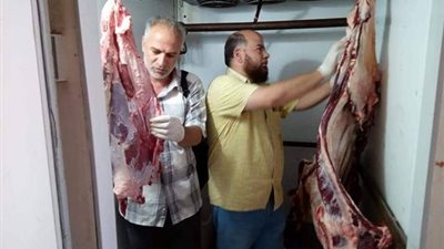 صور.. ضبط لحوم مذبوحة خارج السلخانة وأسماك مجمدة فاسدة بـ الحامول