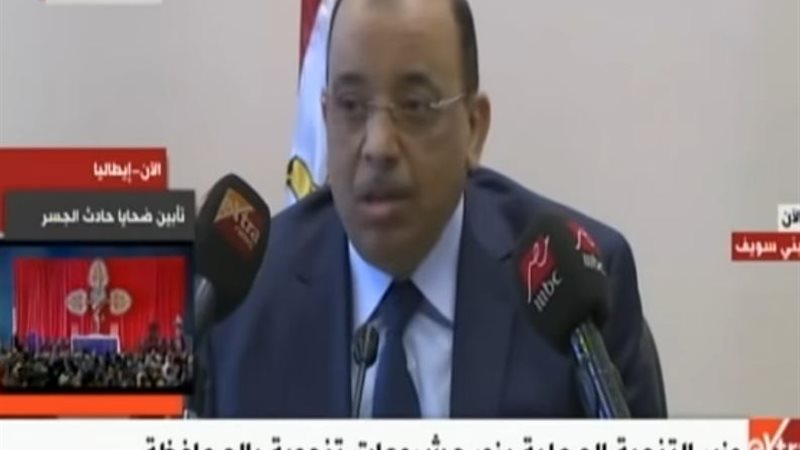 محمود شعراوي  وزير