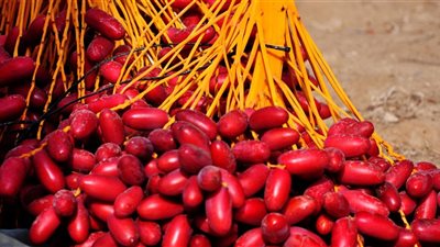 تعرف على سعر البلح في الأسواق اليوم  19-8-2018