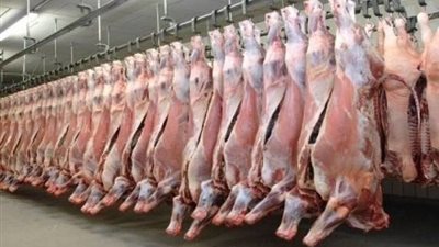وزارة الزراعة تعلن فتح مجازر الدولة لـ ذبح أضاحى عيد الأضحى مجانا